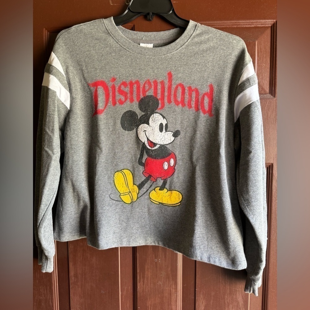 DISNEY Park Mickey Mouse ragland sweatshirt